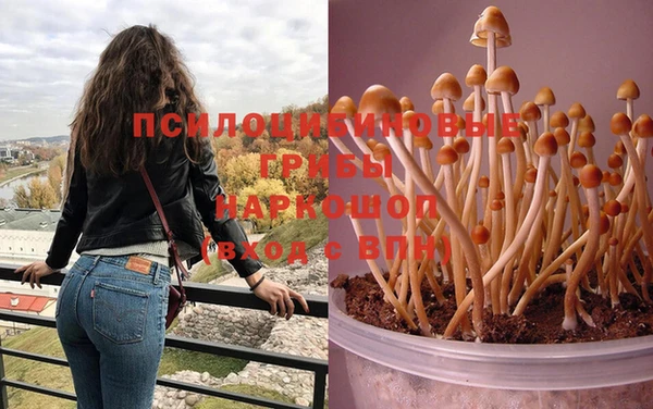 экстази Беломорск